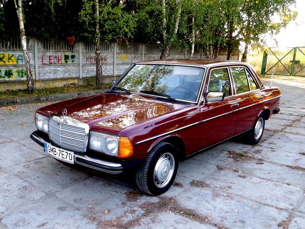 MERCEDES 250 W123 1980 – 15900 PLN – MALBORK