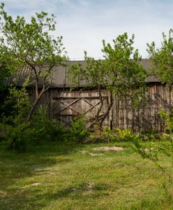 Matka oprawcy mówi, czego mu zakazała. "Może dlatego więził tę kobietę"