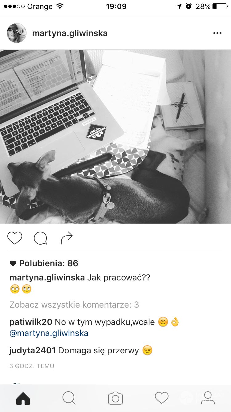 Martyna Gliwińska pracuje nad blogiem