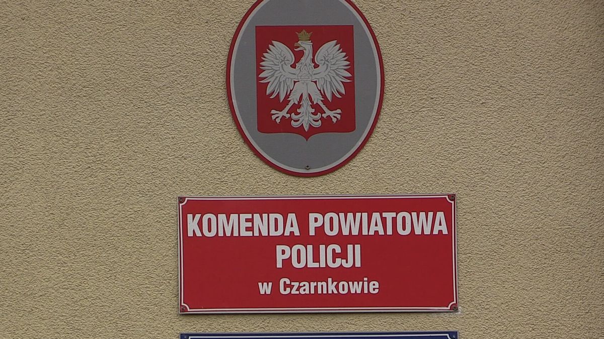 zdjęcie