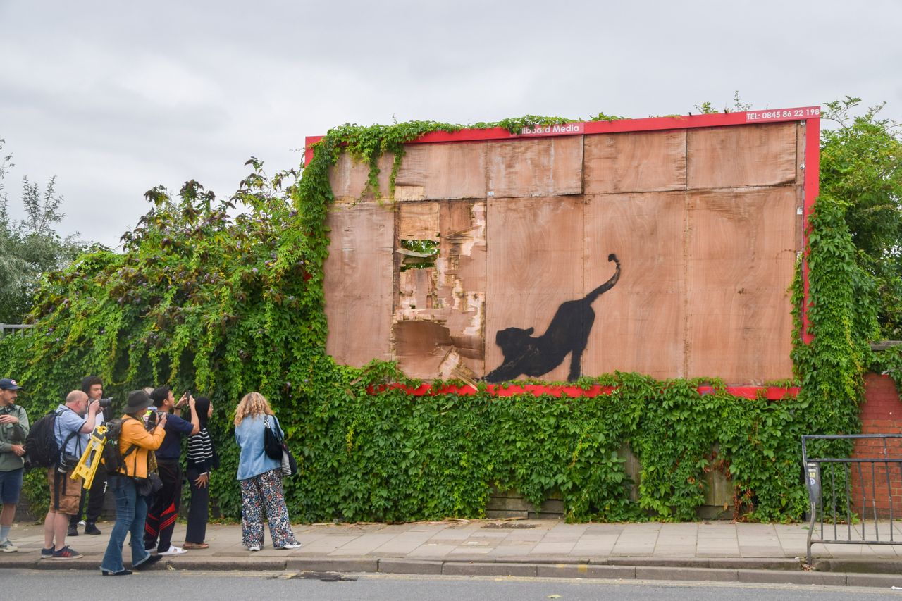 Banksy cat graffiti vanishes in hours, Londoners outraged