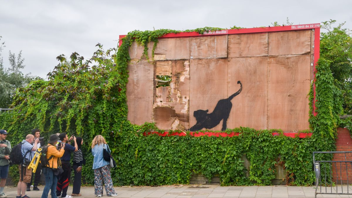 Graffiti z kotem szybko zyskało na popularności. Niestety już zostało usunięte