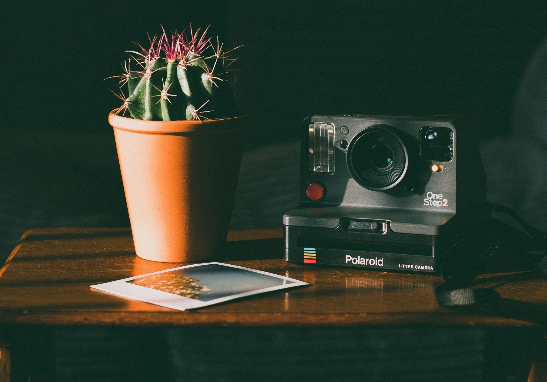Polaroid Originals staje się ”Polaroidem” i prezentuje aparat Polaroid Now 1