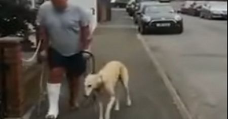 To, co zrobił ten pies, jest nie do uwierzenia. Wszystko nagrano