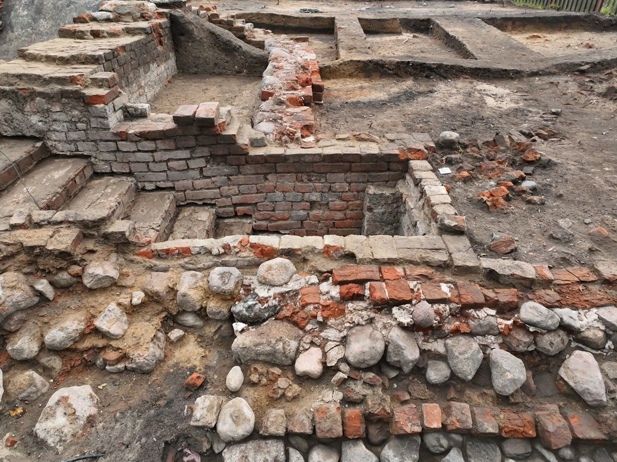 Odkrycie w Wielkopolsce. Znaleźli kości zwierzęce i monety