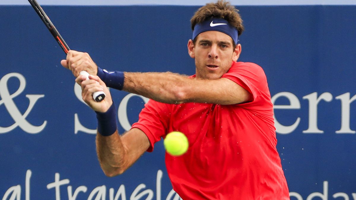 Juan Martin del Potro