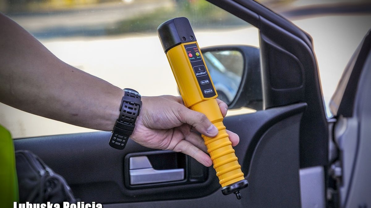 Kontrola trzeźwości