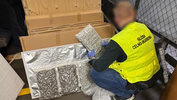 Ukryli 90 kg marihuany w panelach LED. Służby udaremniły przemyt