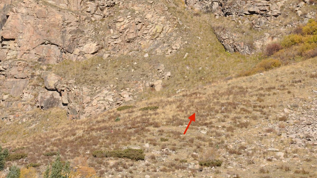 Wielka Stopa na nagraniu?