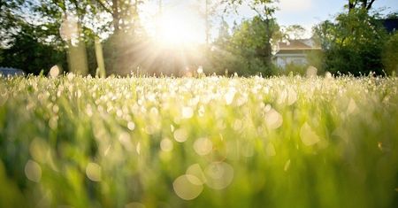 Pogoda na tydzień [7-13 czerwca] w Lublinie – sprawdzona prognoza pogody na 7 dni