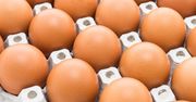 GIS alarmuje! Salmonella w jajkach. Sprawdź, czy masz je w domu!