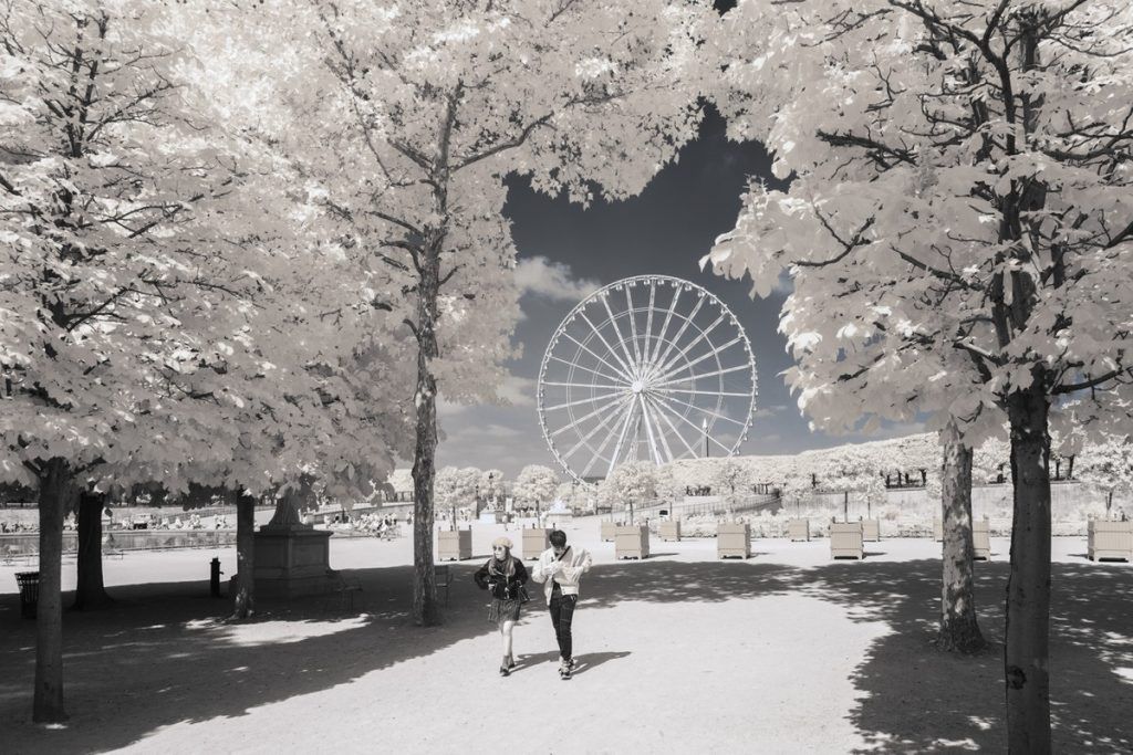 Zobacz świat w podczerwieni. Oto najlepsze zdjęcia z konkursu "Life in another light" 31