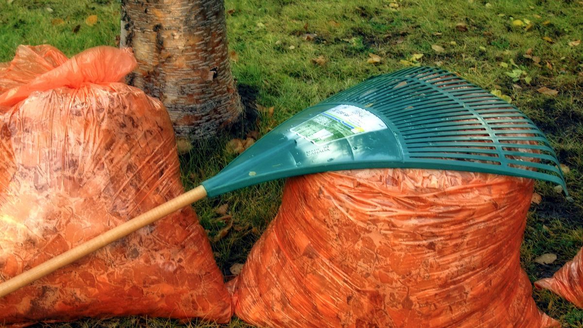 Złota Jesień już się zaczęła. Akcesoria do ogrodu w promocyjnej cenie 1