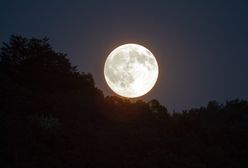 Pełnia Kwiatowego Księżyca 2020. Gdzie i kiedy można oglądać ostatni tegoroczny Superksiężyc?