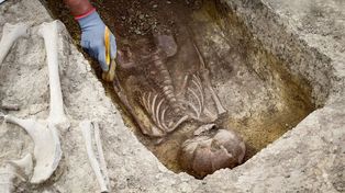 Archeolodzy odnaleźli wieś. Węgierska osada znana była tylko z zapisu z 1548 r.