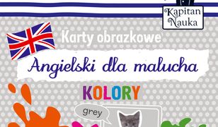 Karty obrazkowe Angielski dla malucha Kolory