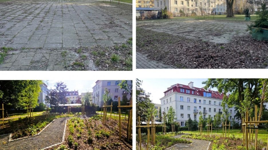 Tak było, a tak jest. Zielona rewolucja na Sielcach. Źródło: Dzielnica Mokotów