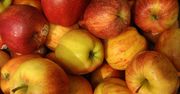 Właściwości jabłek