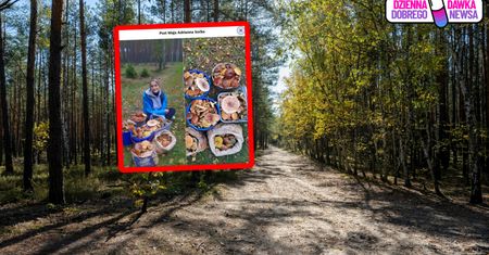 3,5 godziny w lesie. Ujęcia obiegają sieć. "Miazga"