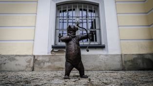Białystok: Misie atrakcją miasta. Szlak z niedźwiadkami ma się rozrastać
