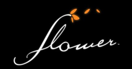 Flower - recenzja