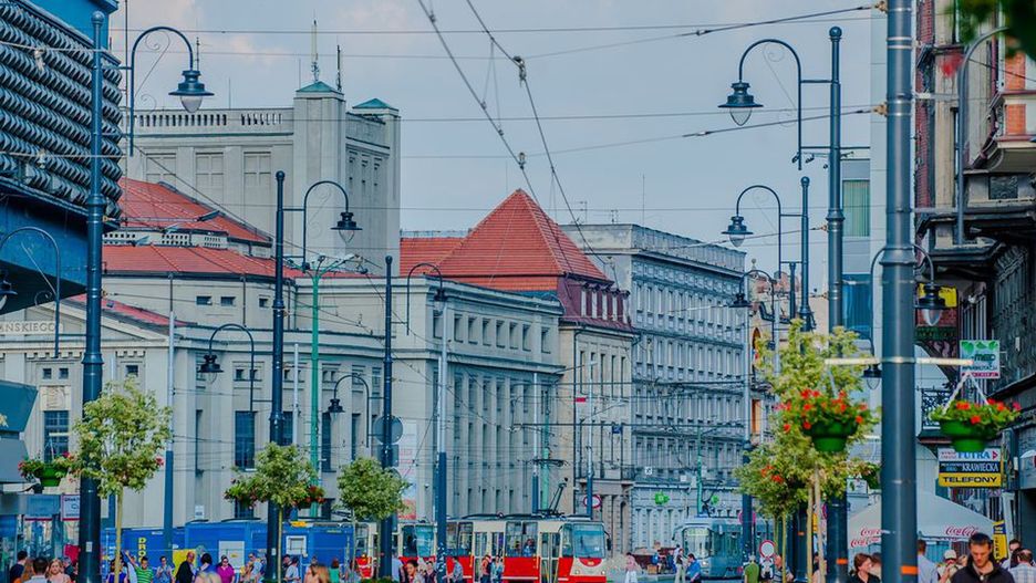 Katowice. Miasto zainwestuje w zieleń.
