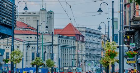 Katowice. Ma być zielono i estetycznie. Miasto wymienia zieleń w centrum