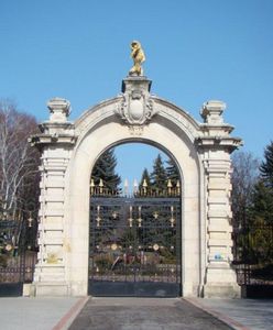 Chorzów. Długi weekend i długa kolejka