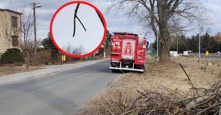 Ktoś wezwał strażaków. Niebywałe, co ujrzeli. Skandal