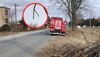 Ktoś wezwał strażaków. Niebywałe, co ujrzeli. Skandal