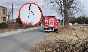 Ktoś wezwał strażaków. Niebywałe, co ujrzeli. Skandal