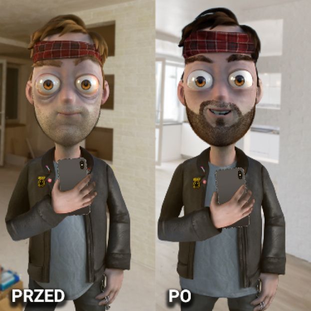 Obraz