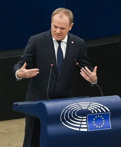 "Zawstydzony". Tusk nie odpuścił zaczepek AFD i Konfederacji [RELACJA NA ŻYWO]