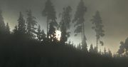 Góry Bardzkie i Opawskie