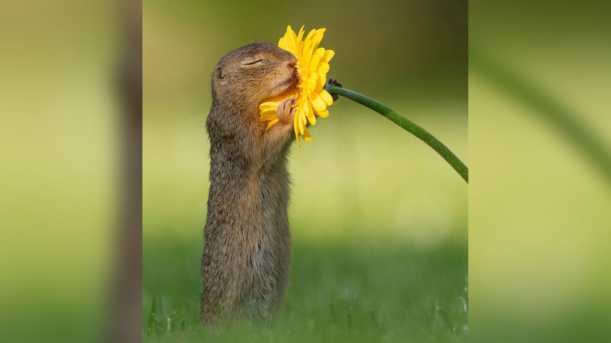 Jego zdjęcia są techniczne doskonałe i pełne dobrego humoru. To trzeba zobaczyć 1