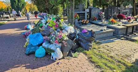 Pokazał zdjęcia z cmentarza. "Czy nasi zmarli naprawdę tego potrzebują?"