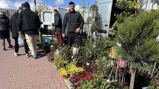 Niedzielny targ w Wierzbicy. Kwitł handel "mydłem i powidłem", dużym zainteresowaniem cieszyły się sadzonki warzyw i kwiatów