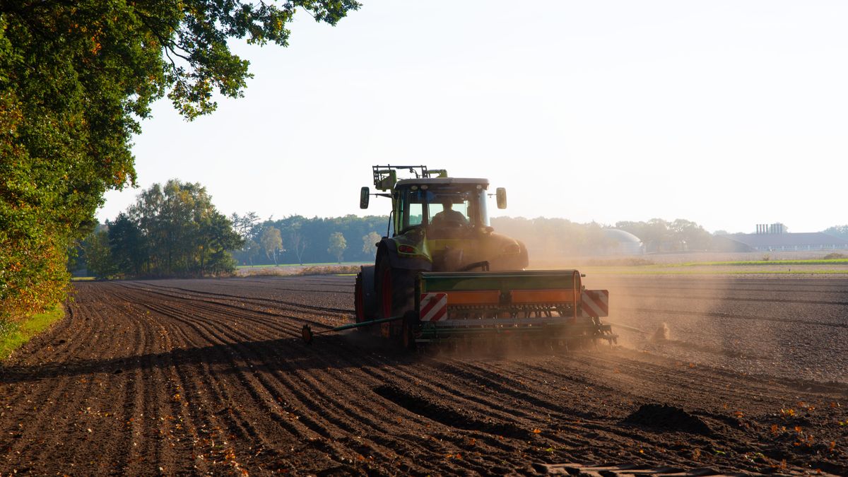 Krajowy Ośrodek Wsparcia Rolnictwa poinformował do dzierżawy zostało zaledwie 165 tys. hektarów.