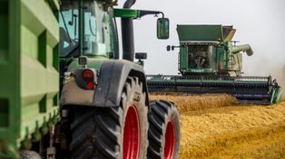 Ceny usług żniwnych 2025 – sprawdź, zanim wynajmiesz kombajn lub prasę!