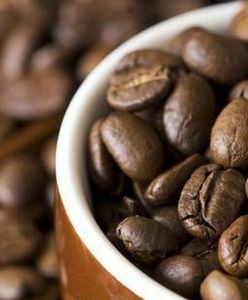 Policzyliśmy, ile kosztuje kawa w kapsułkach. Dobra alternatywa dla drogich ekspresów
