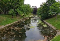 Wrocław. Wszedł do fosy miejskiej za potrzebą. Omal nie utonął