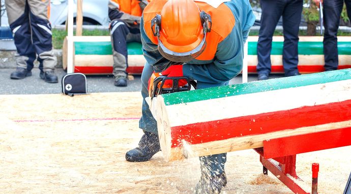 Zawody drwali: Mistrzostwa świata 2026