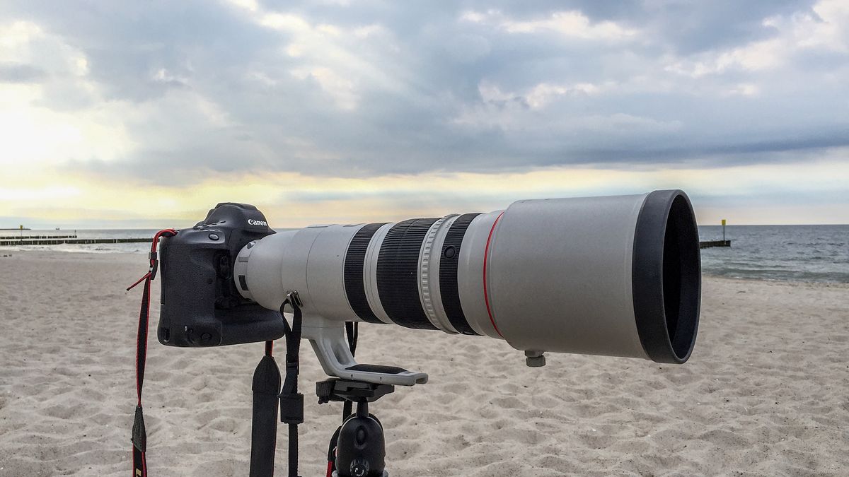 Canon EOS-1D X Mark II - pierwsze zdjęcia przykładowe 1