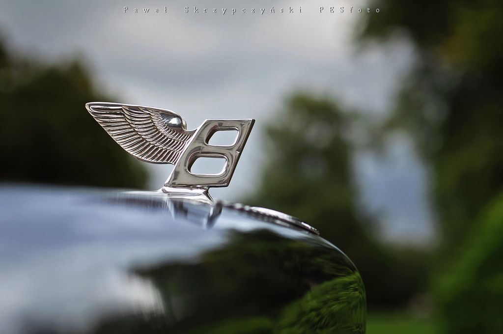 Bentley Eight '86 14