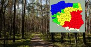 Kampinos: zakaz używania ognia do 14 maja