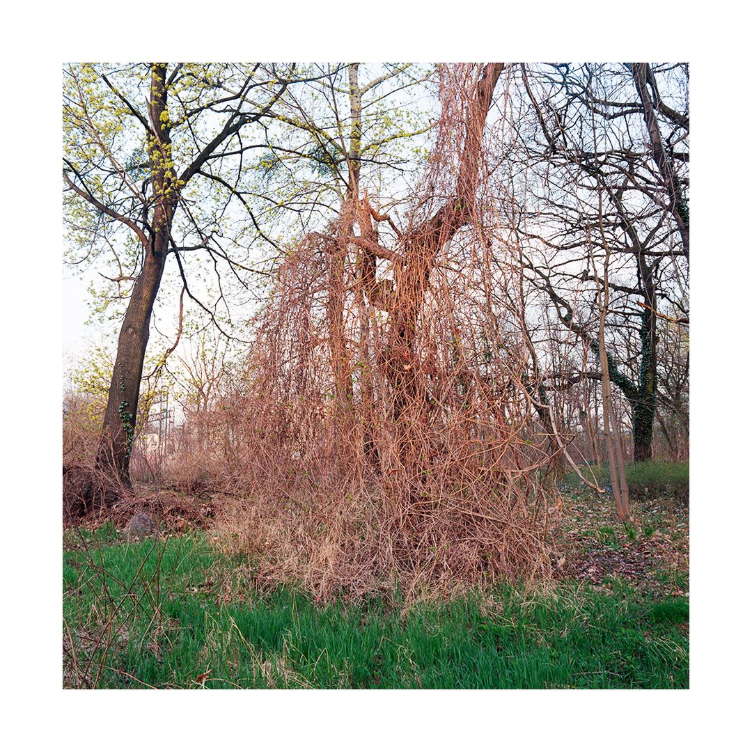 Palimpsest - w poszukiwaniu dawnych niemieckich cmentarzy w Polsce 2