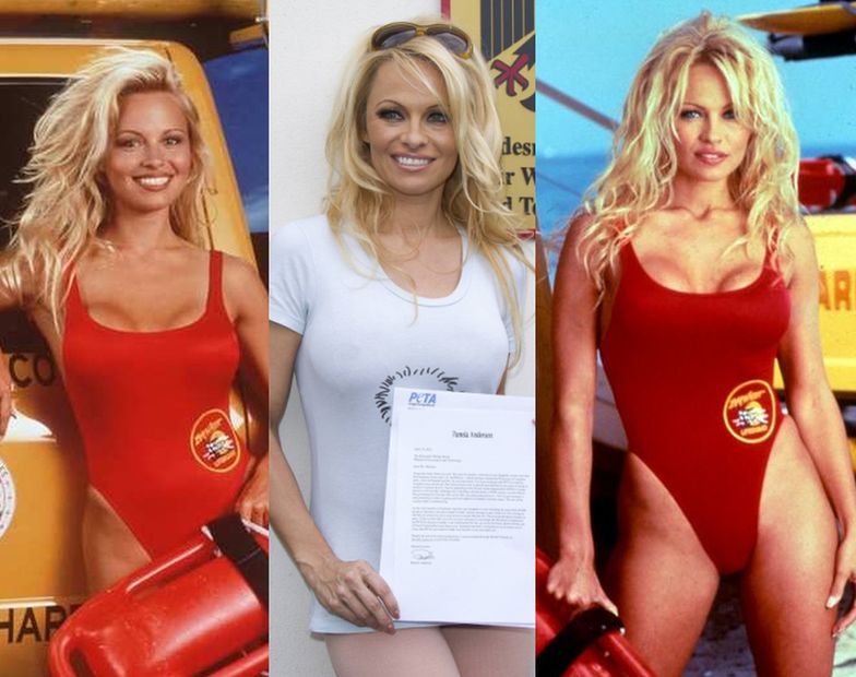 Pamela Anderson (Casey Jean "C.J." Parker)