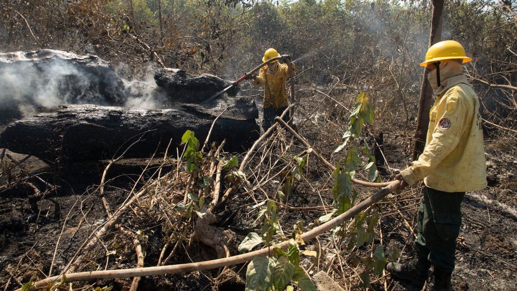 Pożar w amazońskim lesie