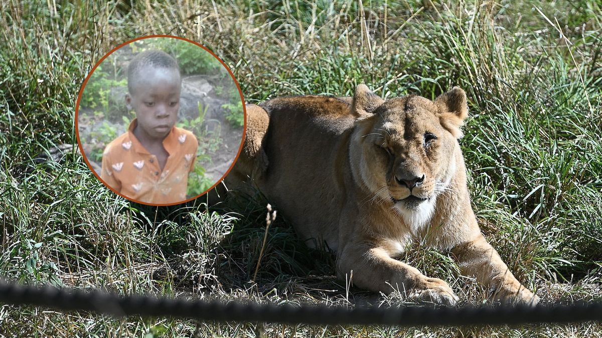Ośmiolatek przeżył pięć dni wśród dzikich zwierząt w parku