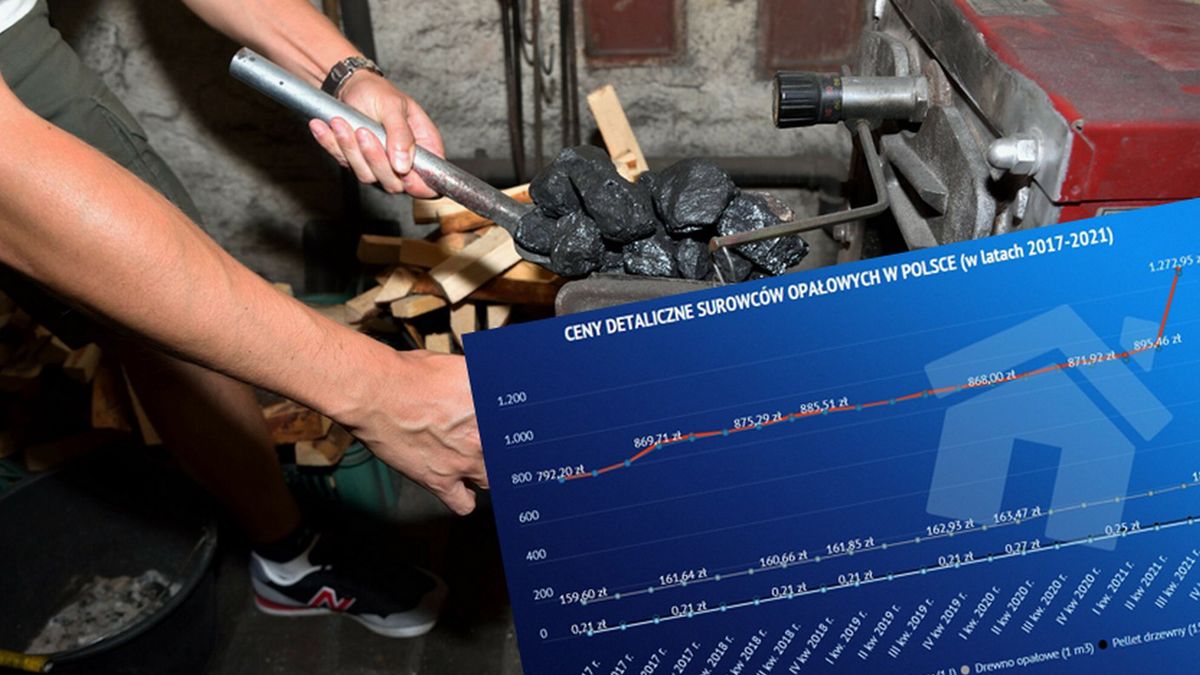  Na zdjęciu osoba wrzucająca węgiel do pieca. Nałożona na nie jest grafika o cenach detalicznych surowców opałowych